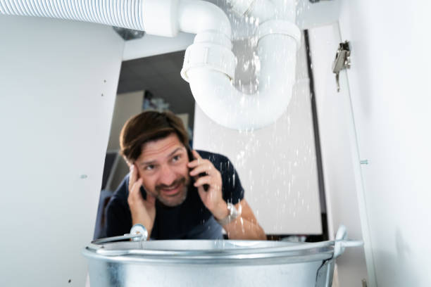 Best Sprinkler Systems  in Eldorado At Santa Fe, NM
